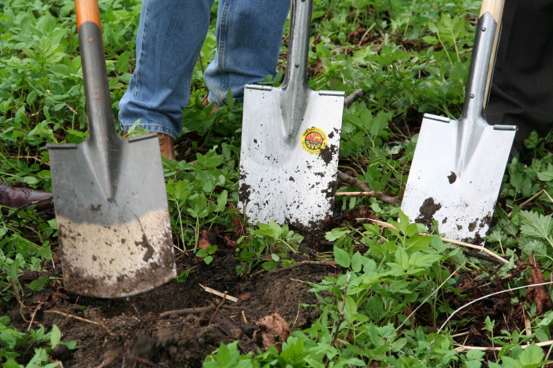 pepiniere-MONS-min_work-lawn-flower-tool-green-backyard-1103633-pxhere.com